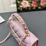 2025年5月28日入荷新作 新品Chanel  SIZE:19.5cmお安い/人気/本革 バッグ/XX工場