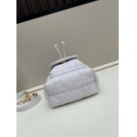 2025年5月28日入荷新作 Dior caro  SIZE:14x15x7cm  お安い/人気/本革 バッグ/XX工場