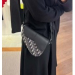 2025年5月28日入荷新作  Dior Oblique  SIZE:19.5 x15 x5.5 CM  お安い/人気/本革 バッグ/XX工場
