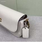 2025年5月28日入荷新作Coach 2月新品 CAN90 CAN91 CAN92 Brook Chain bag  SIZE:  23-12-4   お安い/人気/本革 バッグ/XX工場