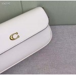 2025年5月28日入荷新作Coach 2月新品 CAN90 CAN91 CAN92 Brook Chain bag  SIZE:  23-12-4   お安い/人気/本革 バッグ/XX工場