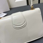 2025年5月29日入荷新作CELINE 2025 Teen tromphe SIZE:19*13*5cmお安い/人気/革/バッグ/XX工場