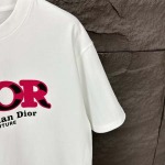 2025年5月30日入荷新作Dior半袖 tシャツ高品質/人気/誕生日プレゼント/DR工場S-2XL