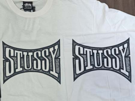 2025年6月12日入荷新作T  STUSSY 25SS CHAMPION TEE  S-XL  STUSSY 25SS 誕生日プレゼント/男女兼用/高品質/正規品と同じ人気/16工場