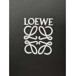 2025年6月2日入荷新作Loewe半袖 Tシャツ高級品/MP工場S-XXXXXL