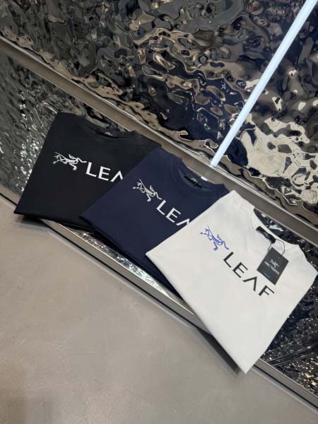 2025年6月2日入荷新作ARCTERYX半袖 Tシャツ高級...