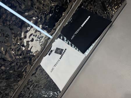 2025年6月2日入荷新作ARCTERYX半袖 Tシャツ高級...