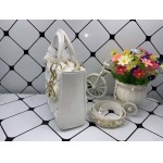 2025年6月5日入荷新作20CMx16.5CMx8CM  Lady Diorお安い/人気/革/バッグ/SY工場