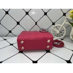 2025年6月5日入荷新作17CMx15CMx7CM  Lady Diorお安い/人気/革/バッグ/SY工場