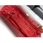 2025年6月5日入荷新作17CMx15CMx7CM  Lady Diorお安い/人気/革/バッグ/SY工場