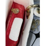 2025年6月5日入荷新作17CMx15CMx7CM  Lady Diorお安い/人気/革/バッグ/SY工場