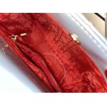 2025年6月5日入荷新作17CMx15CMx7CM  Lady Diorお安い/人気/革/バッグ/SY工場