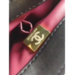 2025年6月5日入荷新作Chanel  SIZE:：25X15X17cm お安い/人気/革/バッグ/SY工場