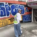 2025年6月12日入荷新作STUSSY X DAVID SS24  CARSON DINO TEE Tee  S-XL 誕生日プレゼント/男女兼用/高品質/正規品と同じ人気/16工場