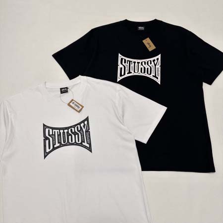 2025年6月13日入荷新作T STUSSY FW24 CH...