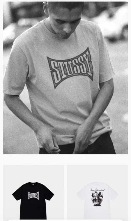 2025年6月13日入荷新作T STUSSY FW24 CH...