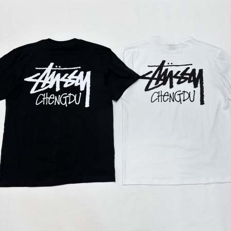 2025年6月13日入荷新作STUSSY FW24 CHEN...