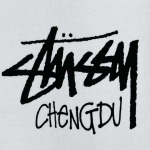 2025年6月13日入荷新作STUSSY FW24 CHENGDU TEE TEE  S-XL誕生日プレゼント/男女兼用/高品質/正規品と同じ人気/16工場