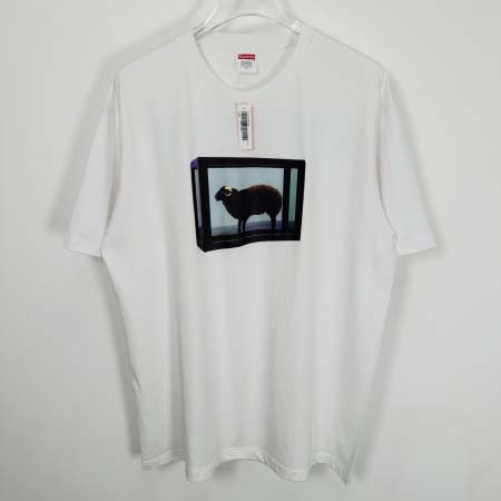 2025年6月13日入荷新作T SUPREME SS25 D...