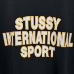 2025年6月13日入荷新作T STUSSY SS25 HEAVY JERSEY CREW    S- XL    誕生日プレゼント/男女兼用/高品質/正規品と同じ人気/16工場