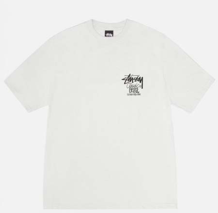 2025年6月13日入荷新作T STUSSY SS25 CL...