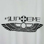 2025年6月14日入荷新作T SUPREME SS25 WINGS TEE LOGO S- XL  誕生日プレゼント/男女兼用/高品質/正規品と同じ人気/16工場