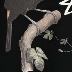 2025年6月14日入荷新作STUSSY SS24 TOUCAN TEE T S-XL  誕生日プレゼント/男女兼用/高品質/正規品と同じ人気/16工場