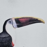 2025年6月14日入荷新作STUSSY SS24 TOUCAN TEE T S-XL  誕生日プレゼント/男女兼用/高品質/正規品と同じ人気/16工場