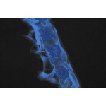 2025年6月19日入荷新作Chrome hearts 半袖 Tシャツ★人気商品★/ファッションの流行/贈り物/HJ工場S-XL