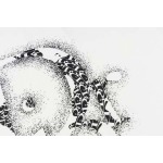 2025年6月20日入荷新作Dior 半袖 Tシャツ★人気商品★/ファッションの流行/贈り物/HJ工場XS-L