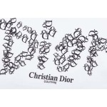 2025年6月20日入荷新作DIOR 半袖 Tシャツ★人気商品★/ファッションの流行/贈り物/HJ工場XS-L