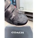2025年6月20日入荷新品COACHカジュアルシューズ/スニーカー｜メンズ靴人気本革製ギフト/誕生日/TL工場