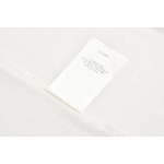 2025年6月22日入荷新作Louis Vuitton半袖 tシャツ 原版復刻人気で【极品】/正規品と同じサイズ/YGY工場