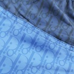 2025年6月24日入荷新作Dior半ズボン 原版復刻人気で【极品】/正規品と同じサイズ/YGY工場