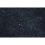 2025年6月25日入荷新作YSL半袖 tシャツ★誕生日プレゼント/ファッションの流行/贈り物/LWC工場