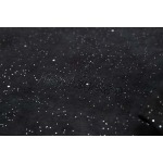 2025年6月25日入荷新作YSL半袖 tシャツ★誕生日プレゼント/ファッションの流行/贈り物/LWC工場