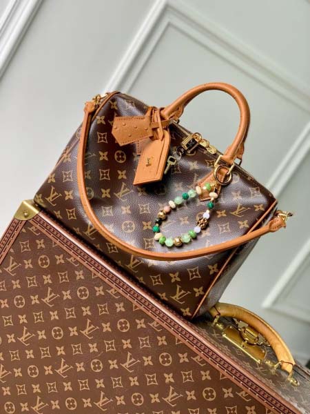 2025年6月26日Louis Vuitton バッグSpe...