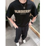 2025年6月30日入荷新作Burberry半袖Tシャツ 高级品超厳選★入手困難/誕生日プレゼント/MF工場