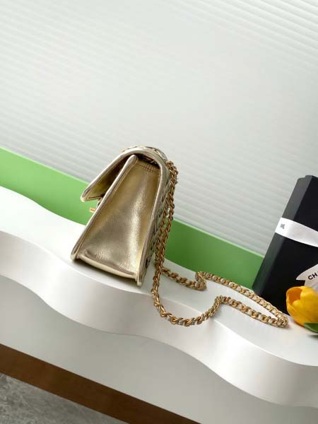 2025年7月17日入荷新作シャネル バッグ最高級品25C  AS4795  Size15-25-8恋人プレゼント/誕生日/母の日/母のひプレゼント/お祝い女性結婚祝い/KK工場