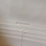 2025年7月7日入荷新作 Bottega Veneta Clutch    741511      SIZE:31x13x3極品/正規品同様/人気/革/バッグ/AJ工場