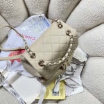 2025年7月17日入荷新作シャネル バッグ最高級品23P 3860  Size:20.5*20*12cm恋人プレゼント/誕生日/母の日/母のひプレゼント/お祝い女性結婚祝い/KK工場