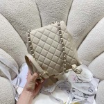 2025年7月17日入荷新作シャネル バッグ最高級品23P 3860  Size:20.5*20*12cm恋人プレゼント/誕生日/母の日/母のひプレゼント/お祝い女性結婚祝い/KK工場