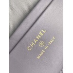 2025年7月17日入荷新作シャネル バッグ最高級品AP4385  YKK  18K金牛皮  Size:：19.5x17x5cm恋人プレゼント/誕生日/母の日/母のひプレゼント/お祝い女性結婚祝い/KK工場