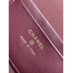 2025年7月17日入荷新作シャネル バッグ最高級品AP4385  YKK  18K金牛皮  Size:：19.5x17x5cm恋人プレゼント/誕生日/母の日/母のひプレゼント/お祝い女性結婚祝い/KK工場