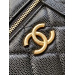 2025年7月17日入荷新作シャネル バッグ最高級品AP4483 logo  Size:：19.5x17x5cm恋人プレゼント/誕生日/母の日/母のひプレゼント/お祝い女性結婚祝い/KK工場