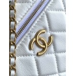 2025年7月17日入荷新作シャネル バッグ最高級品AP4483 logo  Size:：19.5x17x5cm恋人プレゼント/誕生日/母の日/母のひプレゼント/お祝い女性結婚祝い/KK工場