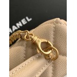 2025年7月17日入荷新作シャネル バッグ最高級品AP4483 logo  Size:：19.5x17x5cm恋人プレゼント/誕生日/母の日/母のひプレゼント/お祝い女性結婚祝い/KK工場