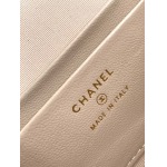 2025年7月17日入荷新作シャネル バッグ最高級品AP4483 logo  Size:：19.5x17x5cm恋人プレゼント/誕生日/母の日/母のひプレゼント/お祝い女性結婚祝い/KK工場