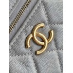 2025年7月17日入荷新作シャネル バッグ最高級品AP4483 logo  Size:：19.5x17x5cm恋人プレゼント/誕生日/母の日/母のひプレゼント/お祝い女性結婚祝い/KK工場