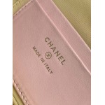 2025年7月17日入荷新作シャネル バッグ最高級品AP4483 logo  Size:：19.5x17x5cm恋人プレゼント/誕生日/母の日/母のひプレゼント/お祝い女性結婚祝い/KK工場